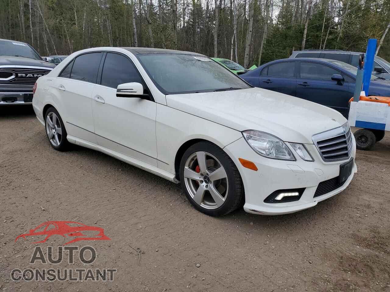 MERCEDES-BENZ E-CLASS 2010 - WDDHF8HB4AA166691