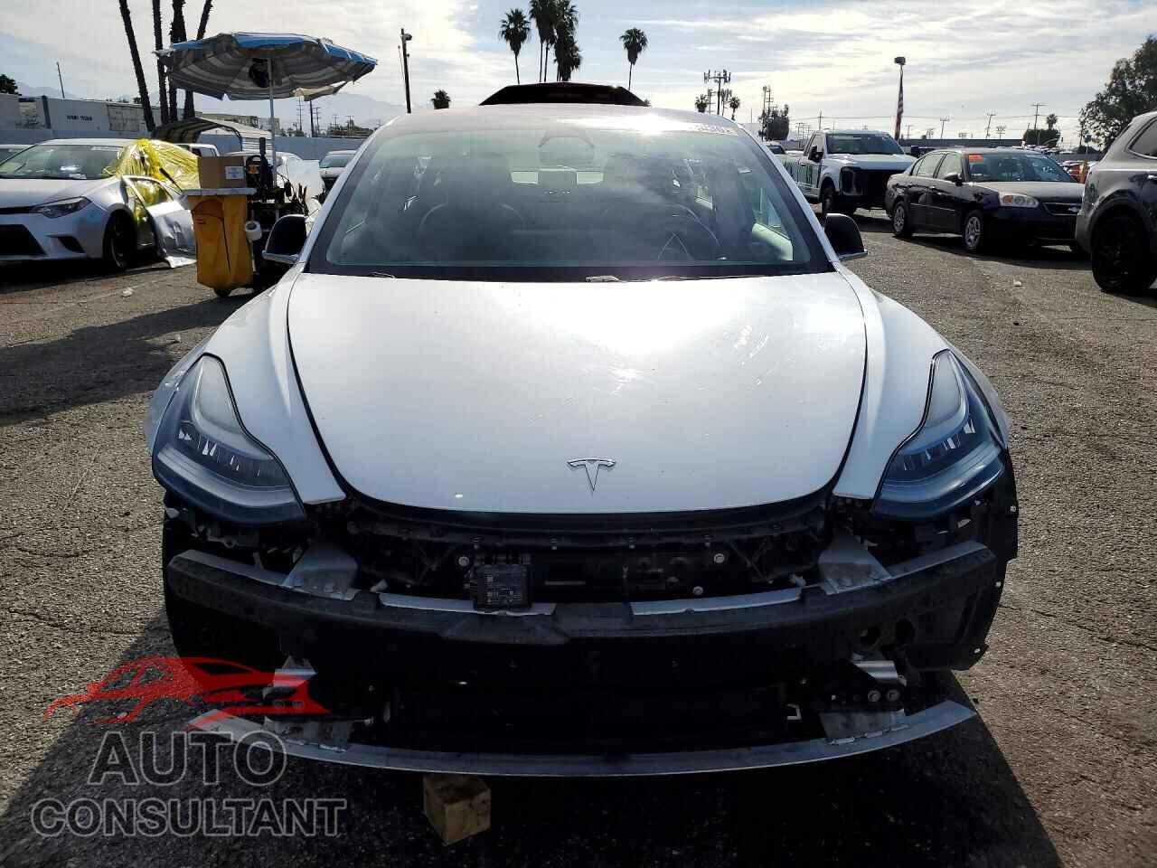 TESLA MODEL 3 2019 - 5YJ3E1EAXKF300297