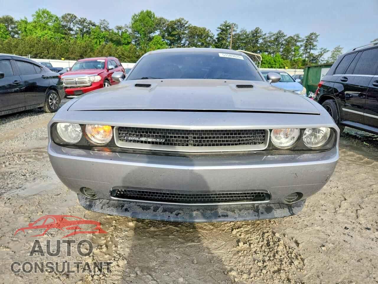 DODGE CHALLENGER 2014 - 2C3CDYAG9EH302311