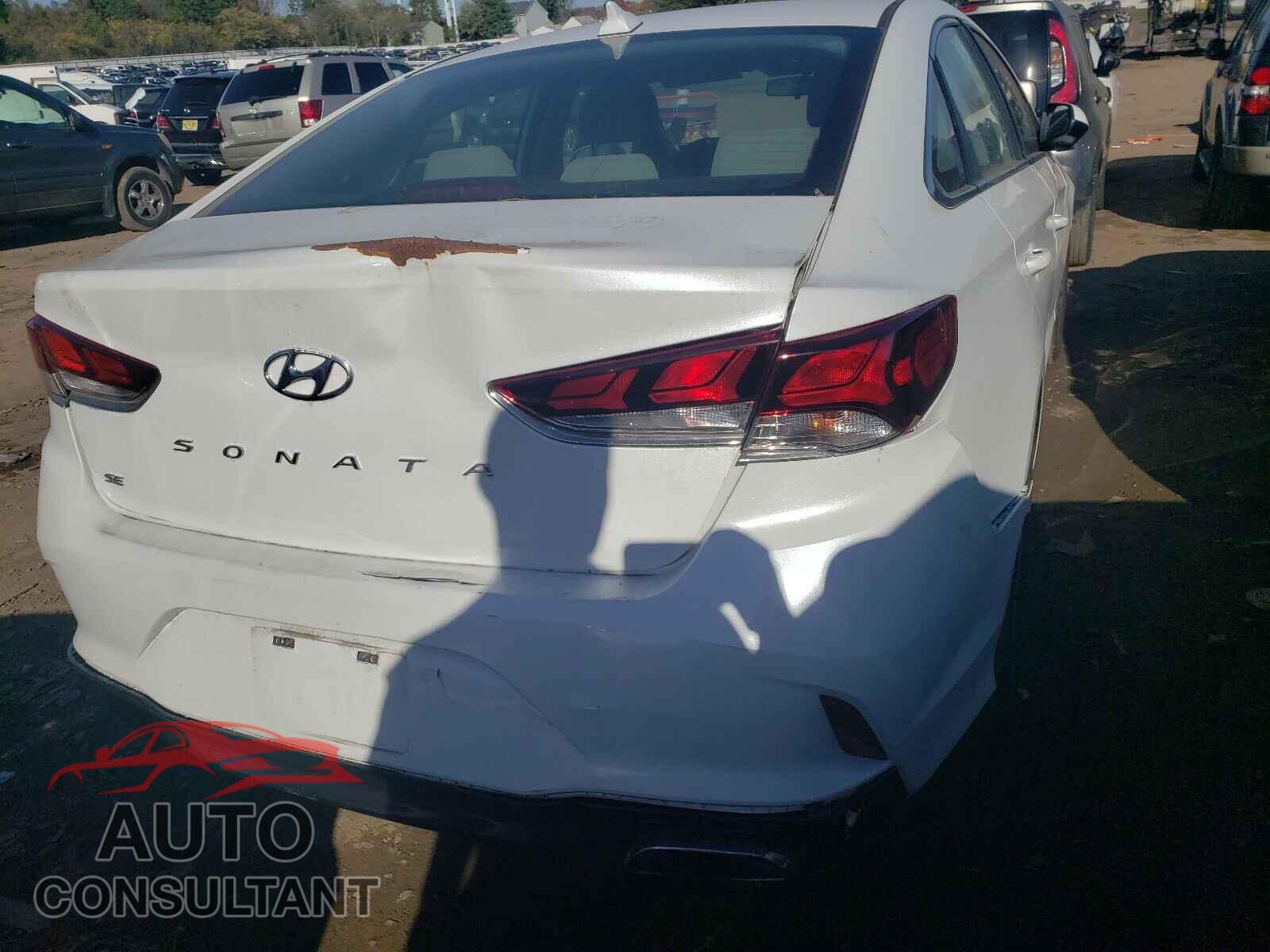 HYUNDAI SONATA 2019 - 5NPE24AF9KH802191