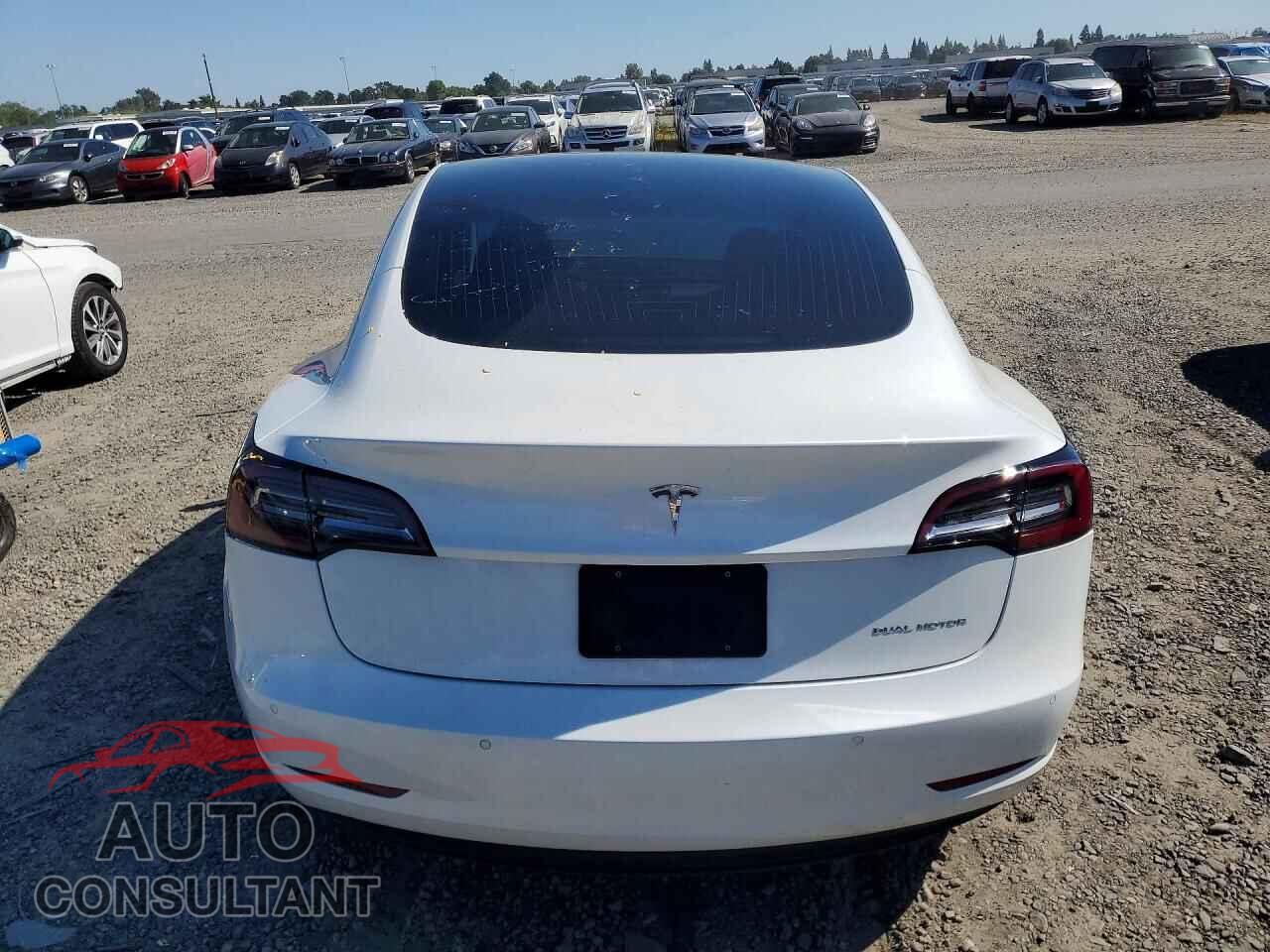 TESLA MODEL 3 2019 - 5YJ3E1EB8KF436968