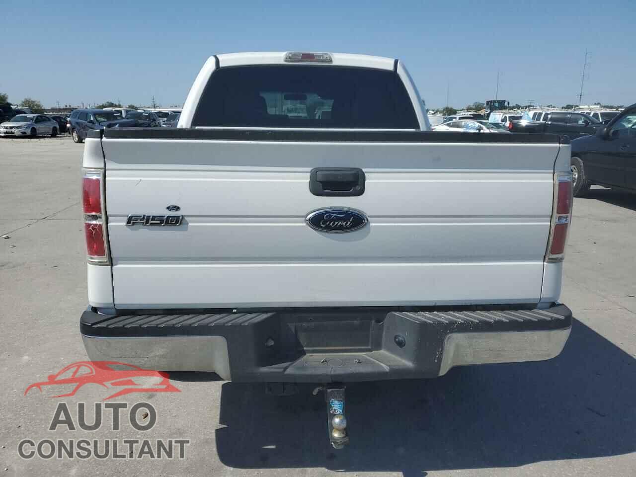 FORD F-150 2010 - 1FTEW1C86AFD09059
