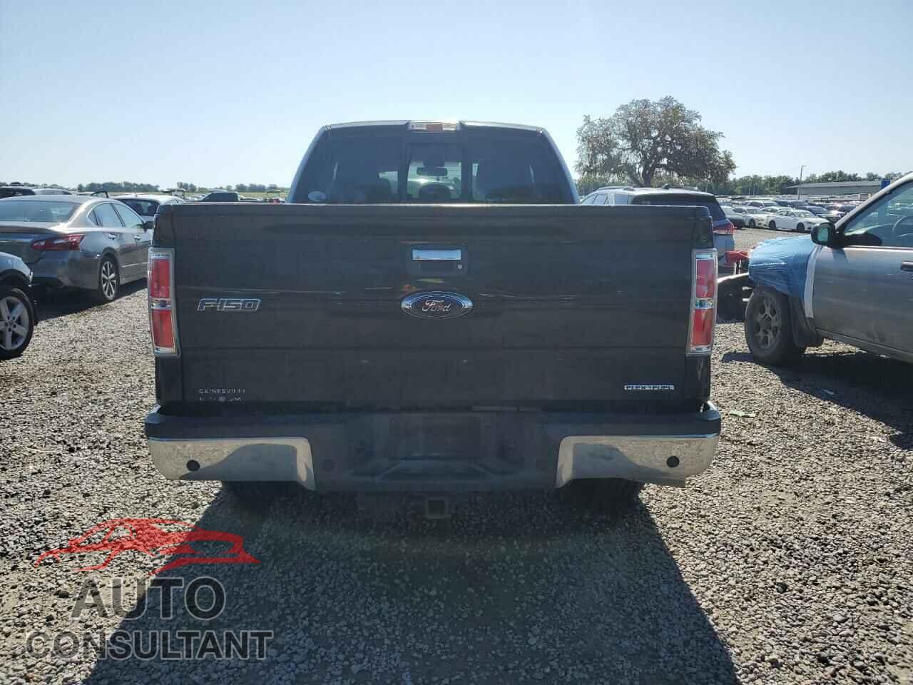 FORD F-150 2013 - 1FTFX1CF6DFD91217