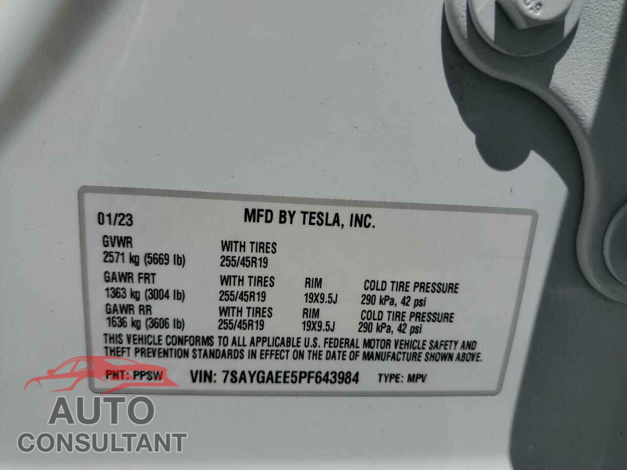 TESLA MODEL Y 2023 - 7SAYGAEE5PF643984