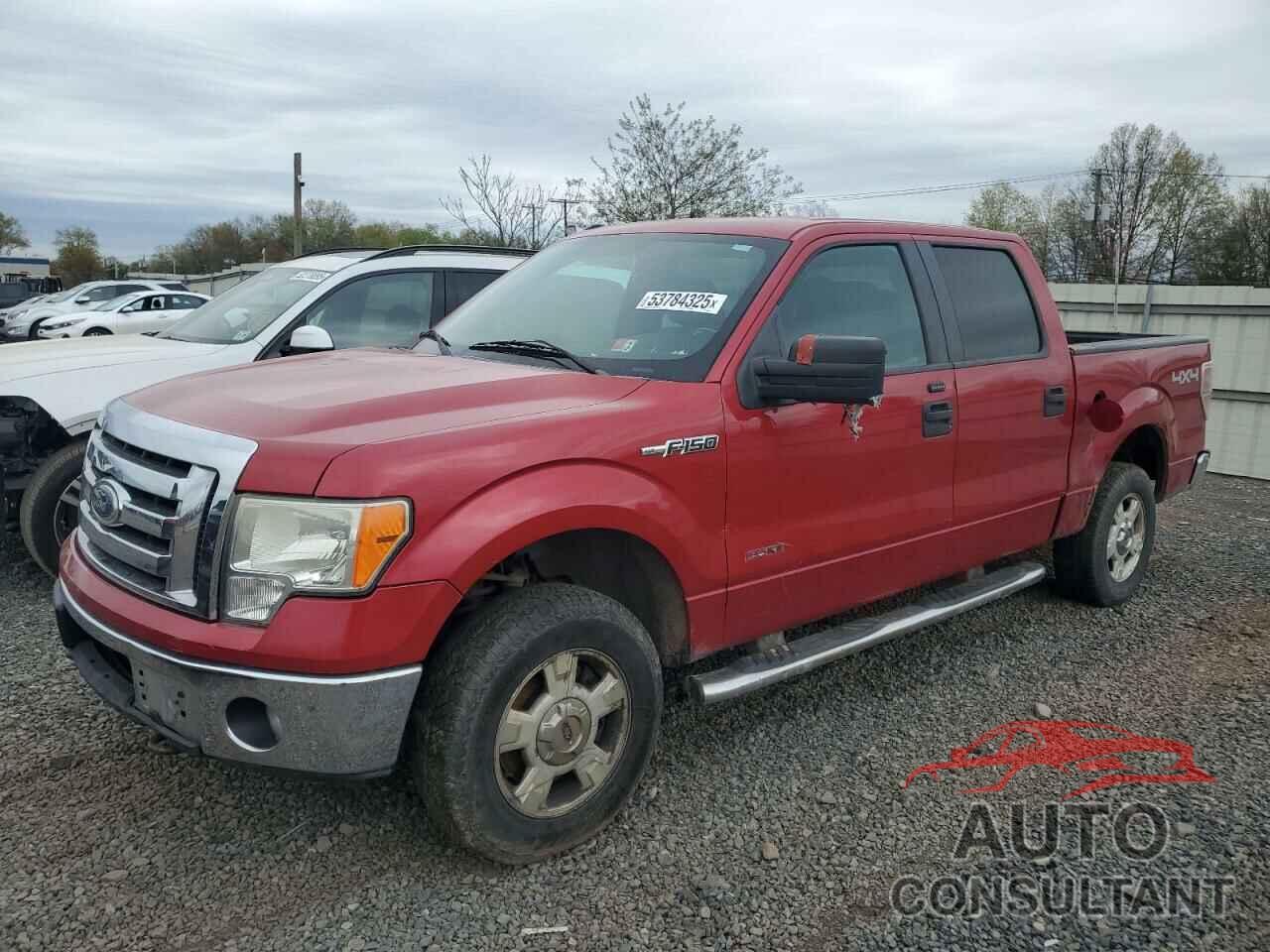 FORD F-150 2011 - 1FTFW1ET0BFA54142