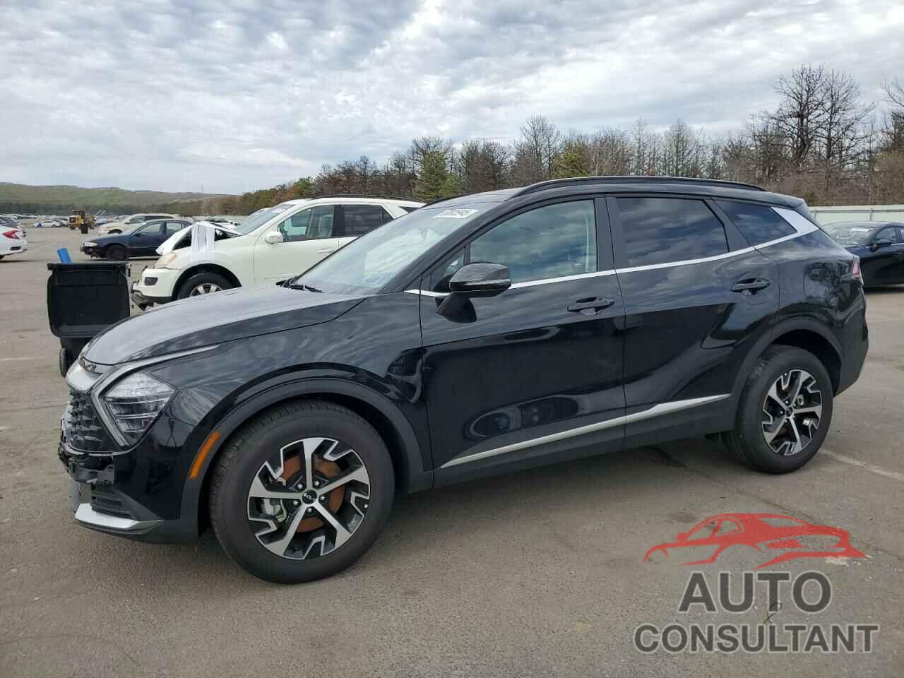 KIA SPORTAGE 2025 - 5XYK3CDF8SG276830