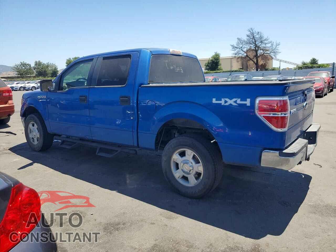 FORD F150 2010 - 1FTFW1EV4AKE18862