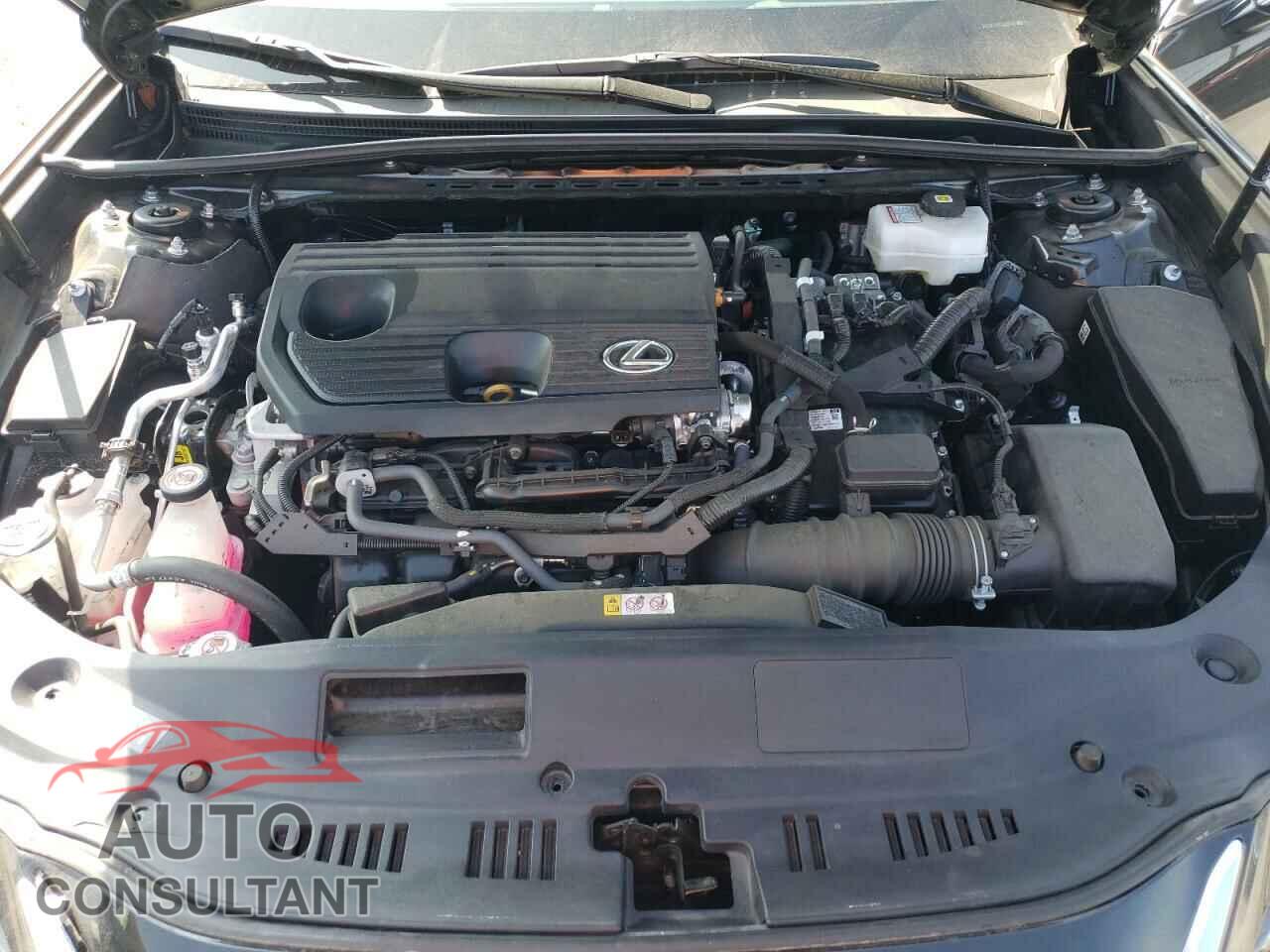 LEXUS ES300 2024 - 58ADA1C19RU049992