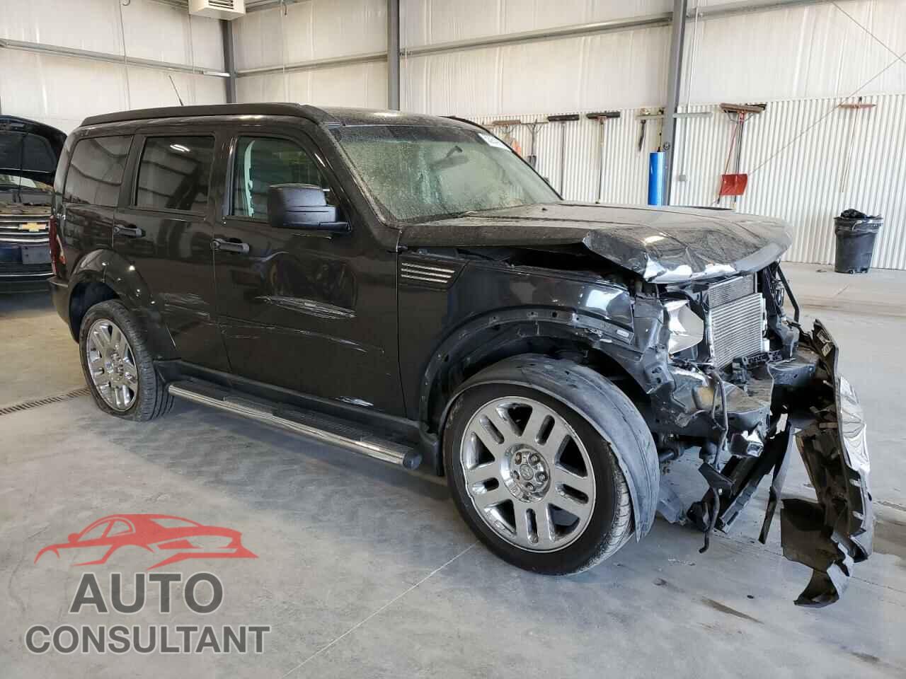 DODGE NITRO 2010 - 1D4PU2GK9AW141981