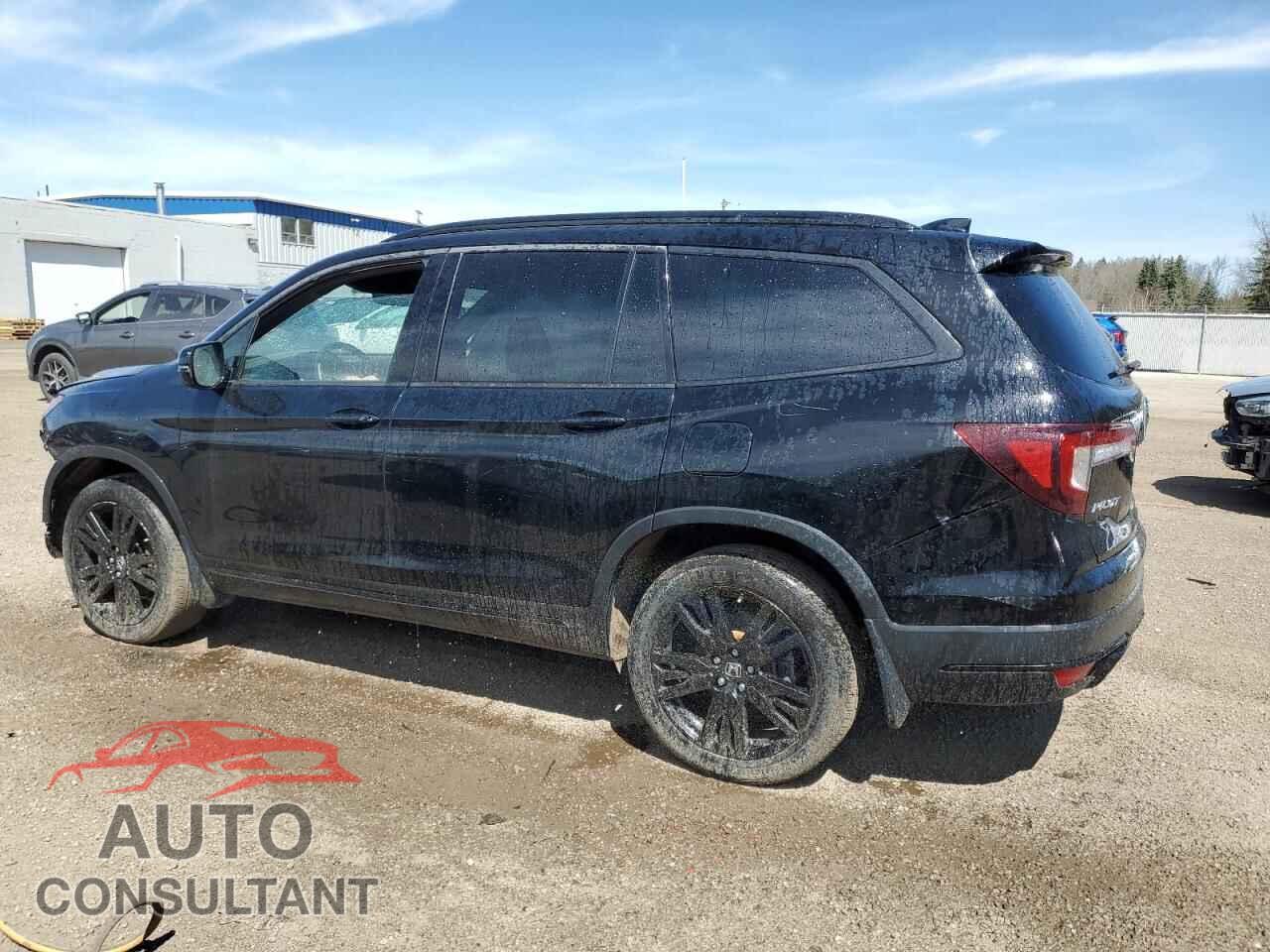 HONDA PILOT 2019 - 5FNYF6H03KB504491