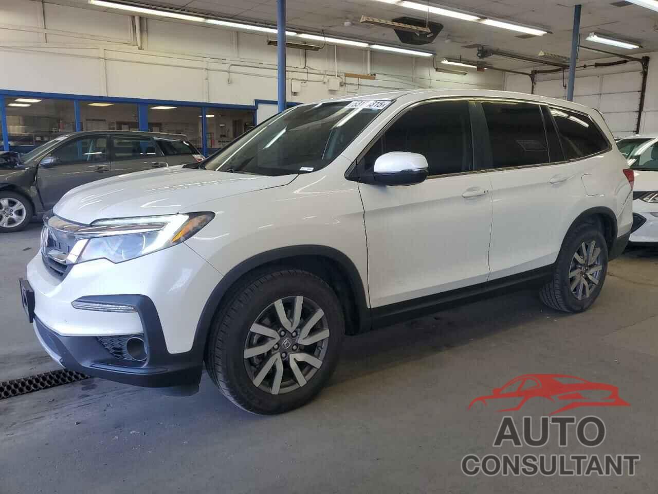 HONDA PILOT 2019 - 5FNYF6H37KB065015