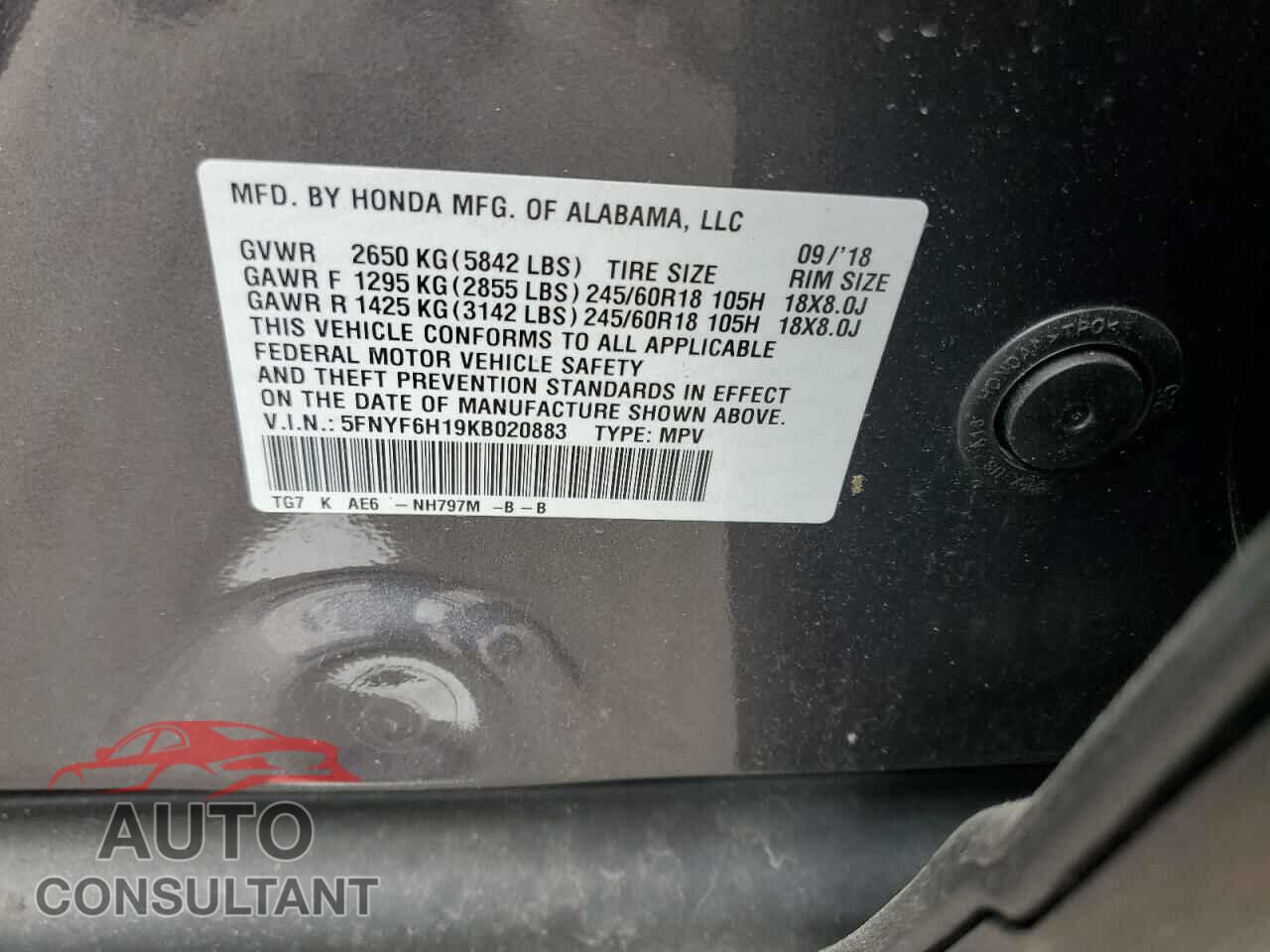 HONDA PILOT 2019 - 5FNYF6H19KB020883
