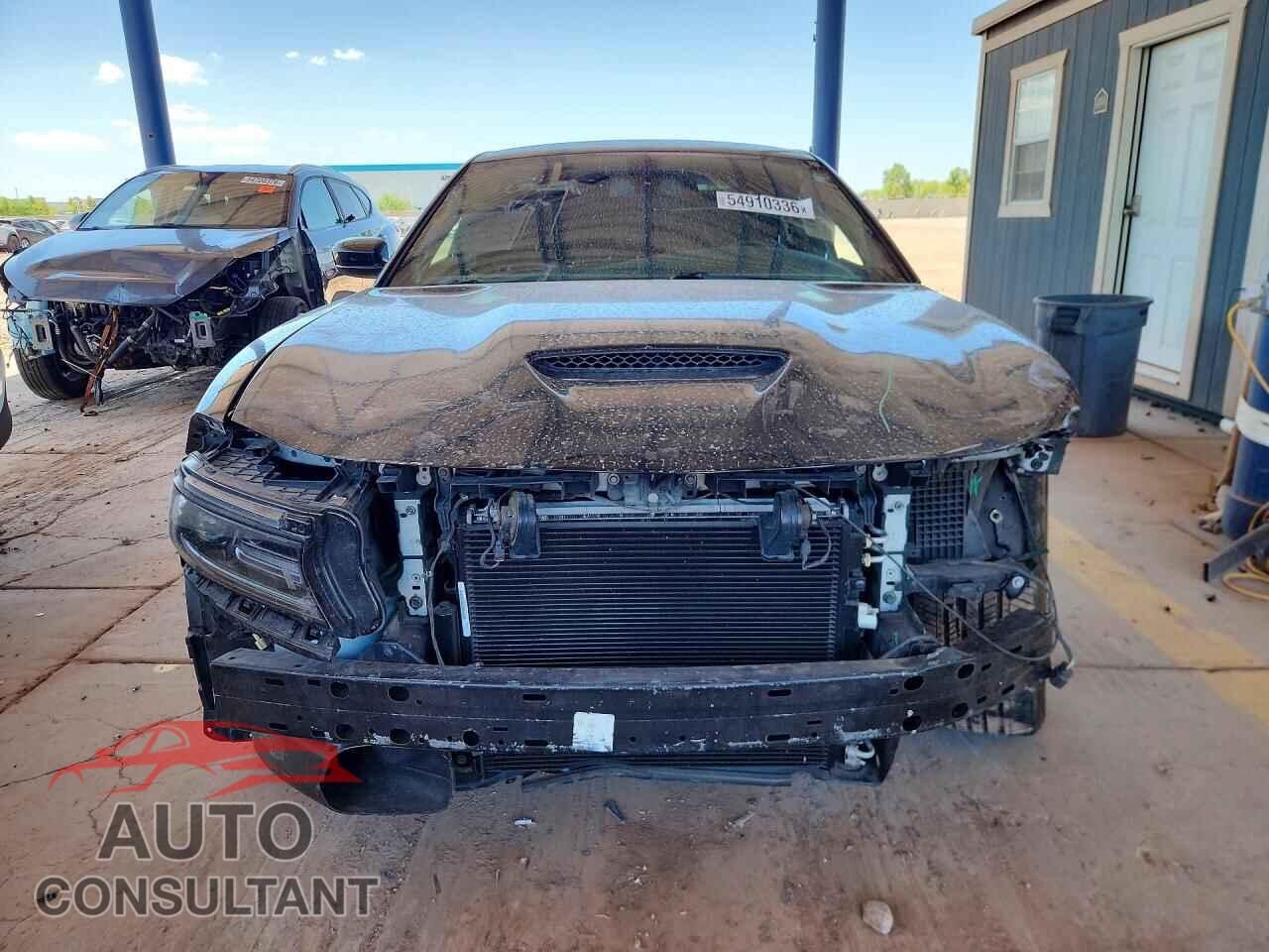 DODGE CHARGER 2019 - 2C3CDXGJ7KH558486