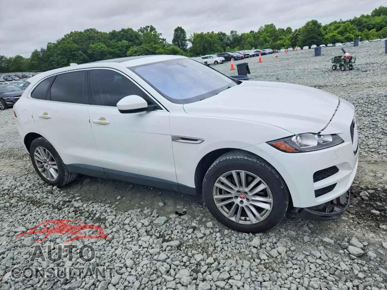 JAGUAR F-PACE 2019 - SADCK2GX8KA393219