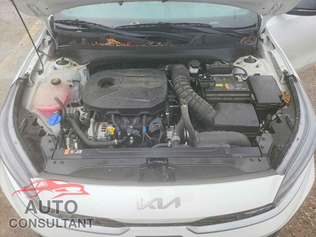 KIA FORTE 2024 - 3KPF44AC2RE717924