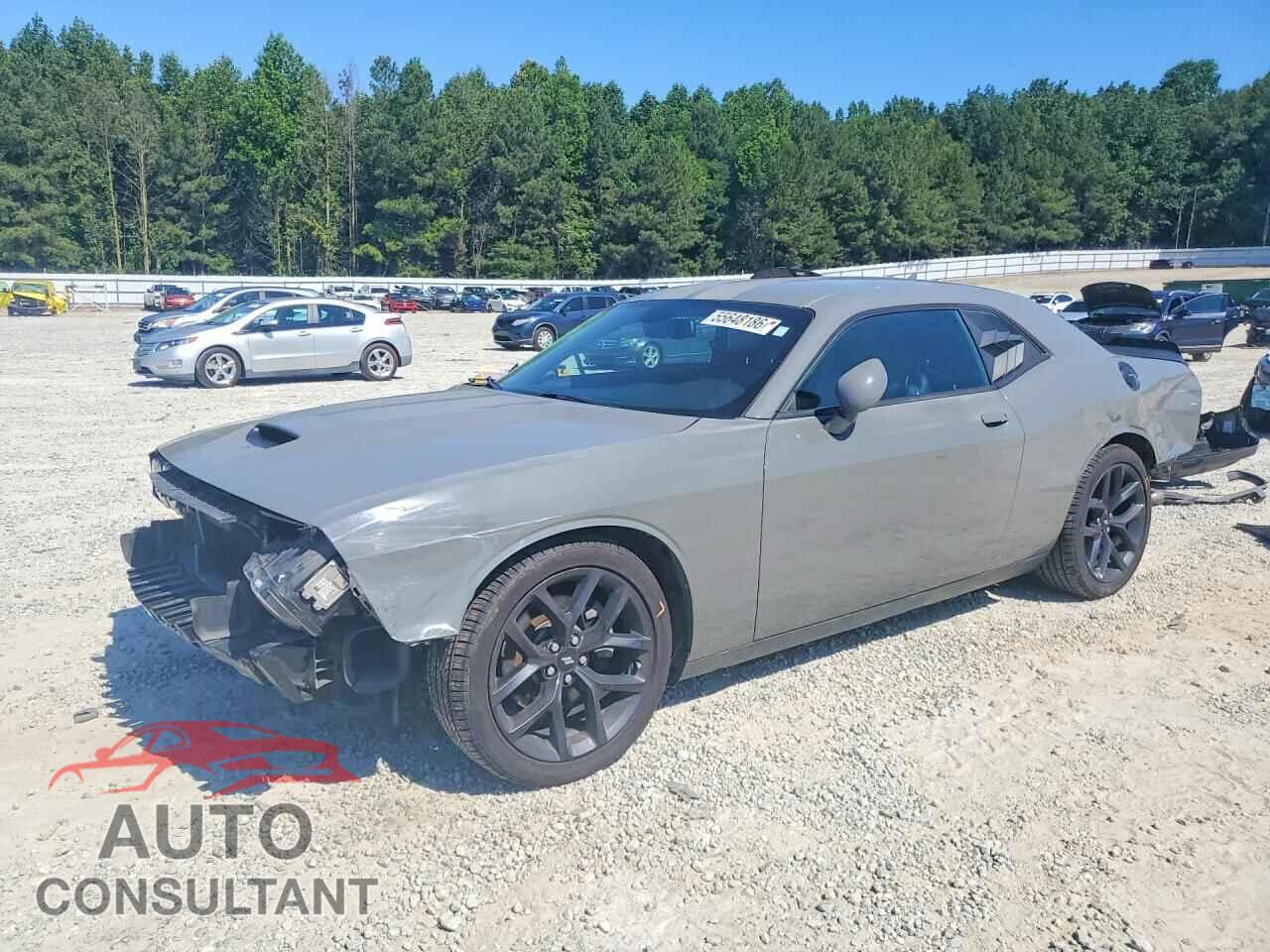 DODGE CHALLENGER 2019 - 2C3CDZJG7KH551921