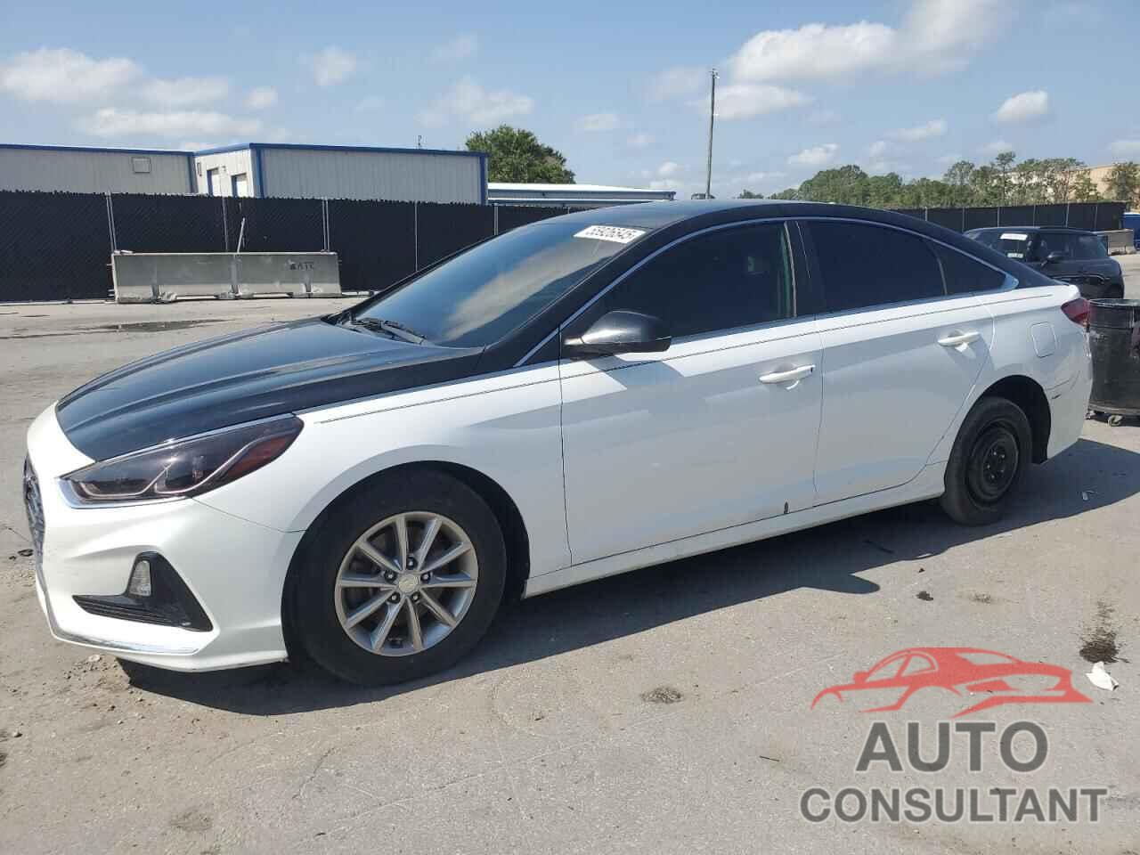 HYUNDAI SONATA 2019 - 5NPE24AF6KH744279
