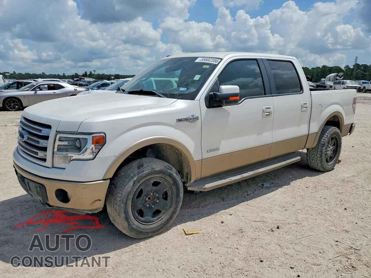 FORD F150 2013 - 1FTFW1CT7DKG06541