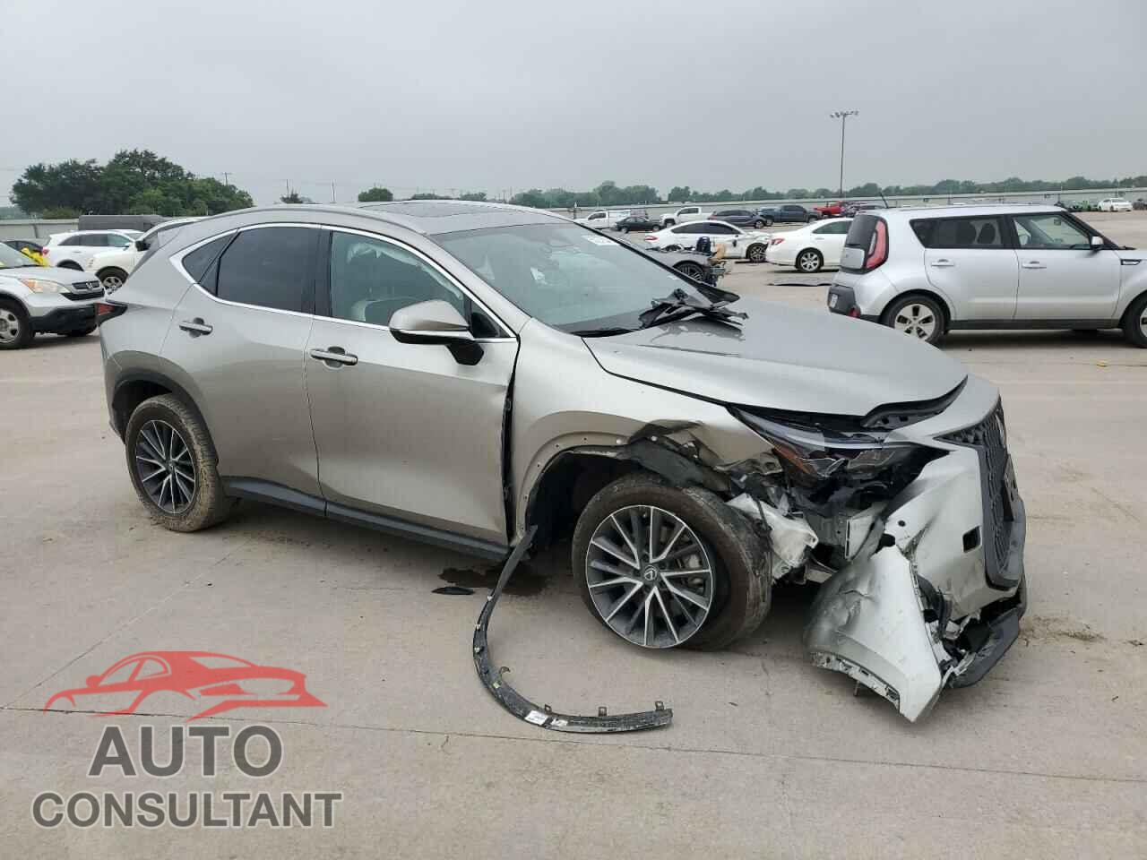 LEXUS NX 250 2023 - 2T2GDCAZ7PC005032