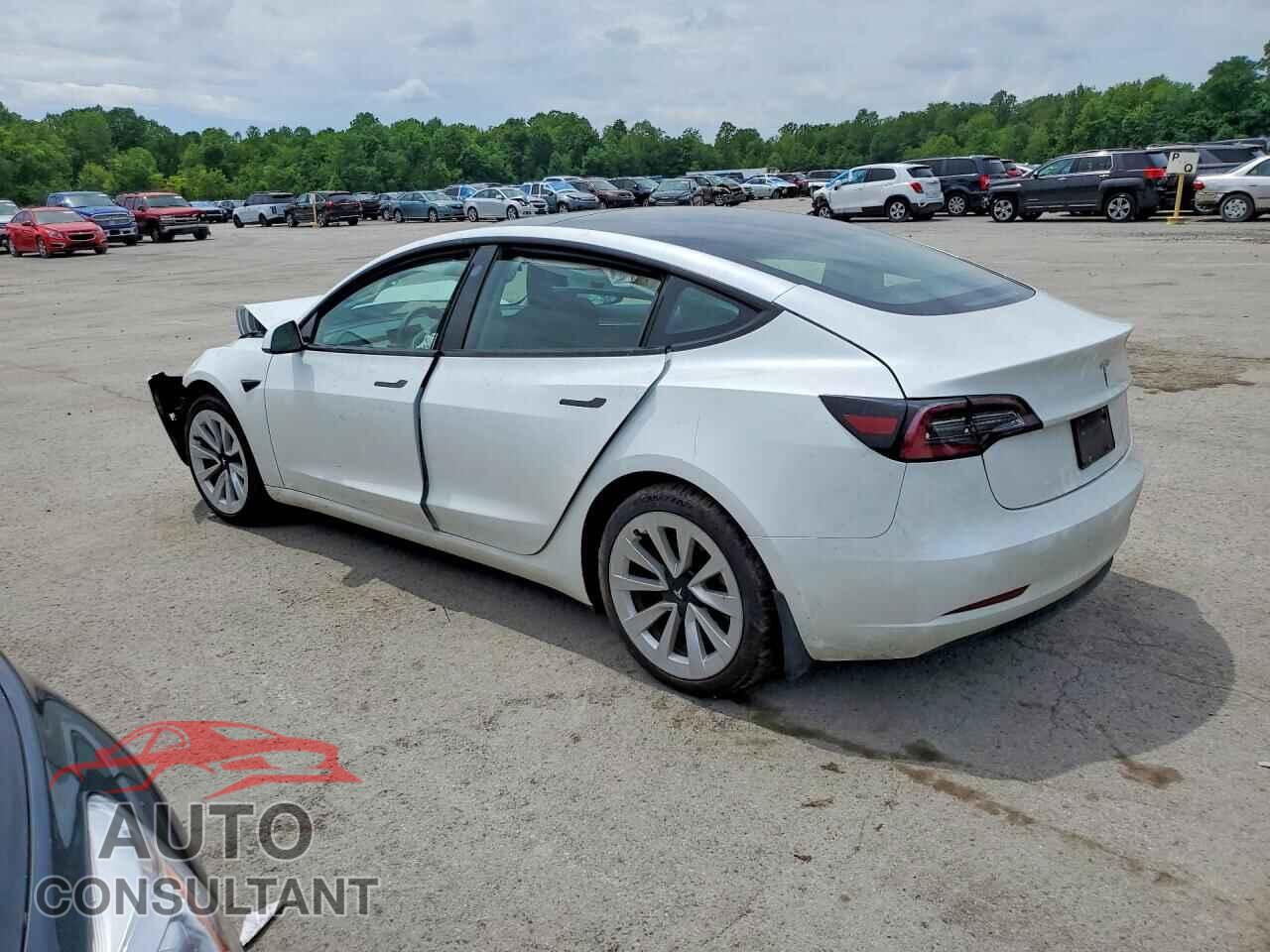 TESLA MODEL 3 2023 - 5YJ3E1EA1PF496010