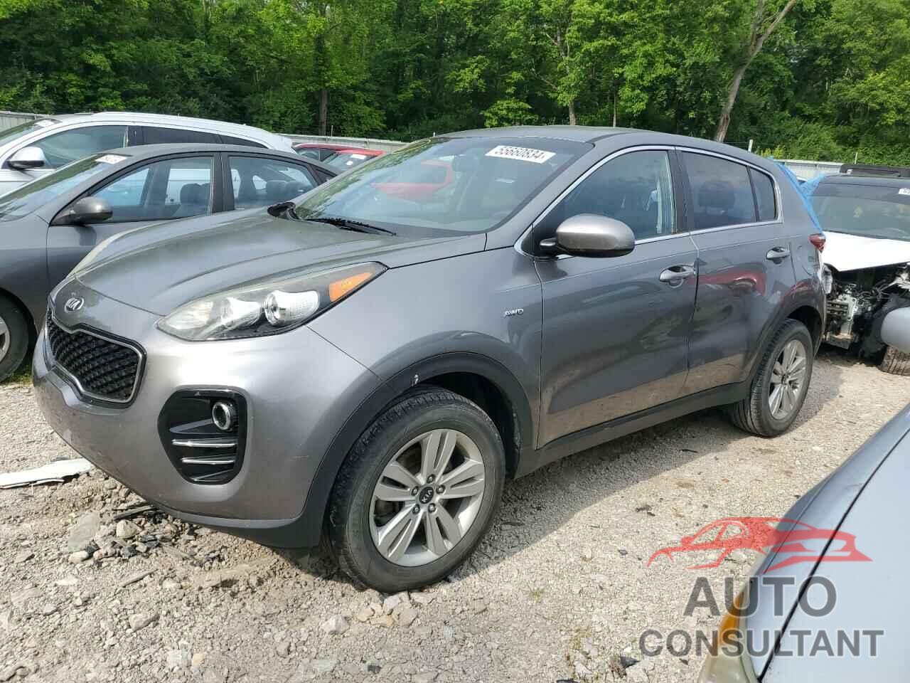 KIA SPORTAGE 2017 - KNDPMCAC8H7065033