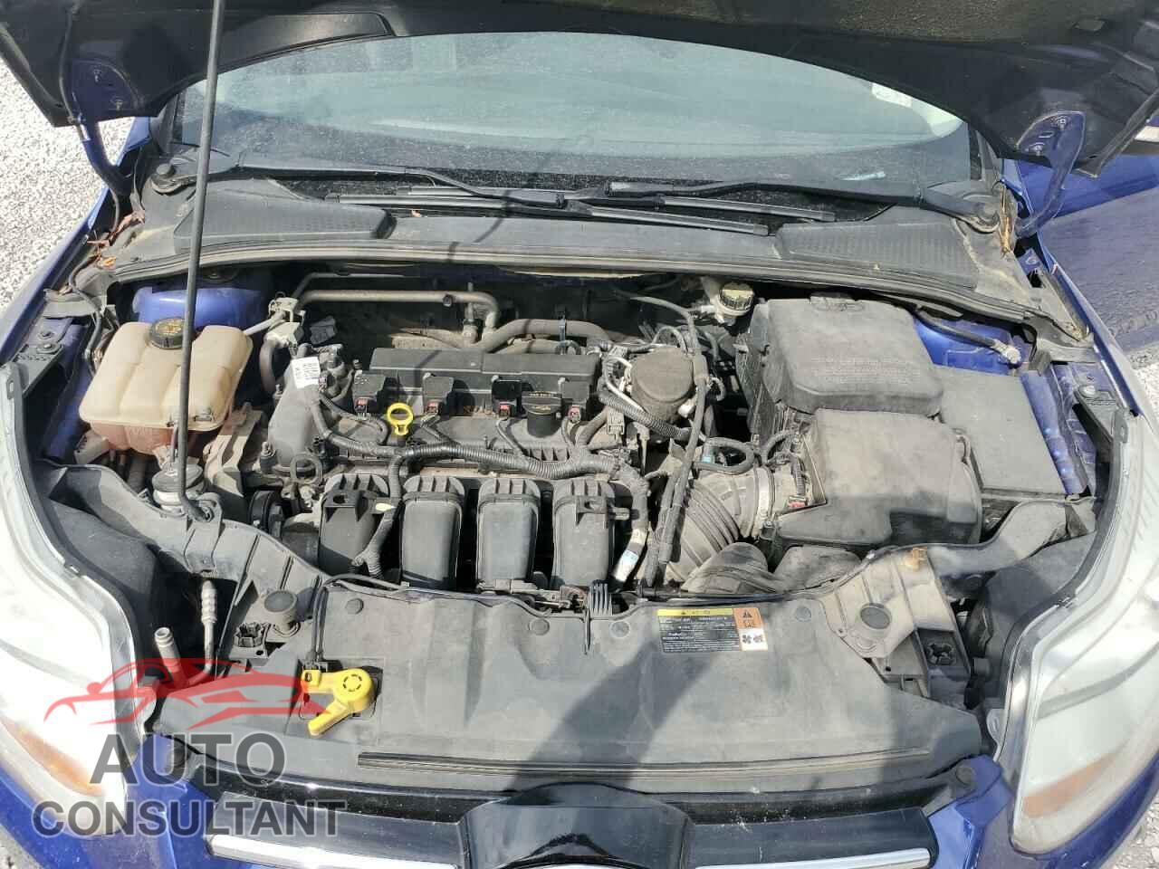 FORD FOCUS 2014 - 1FADP3N21EL264445