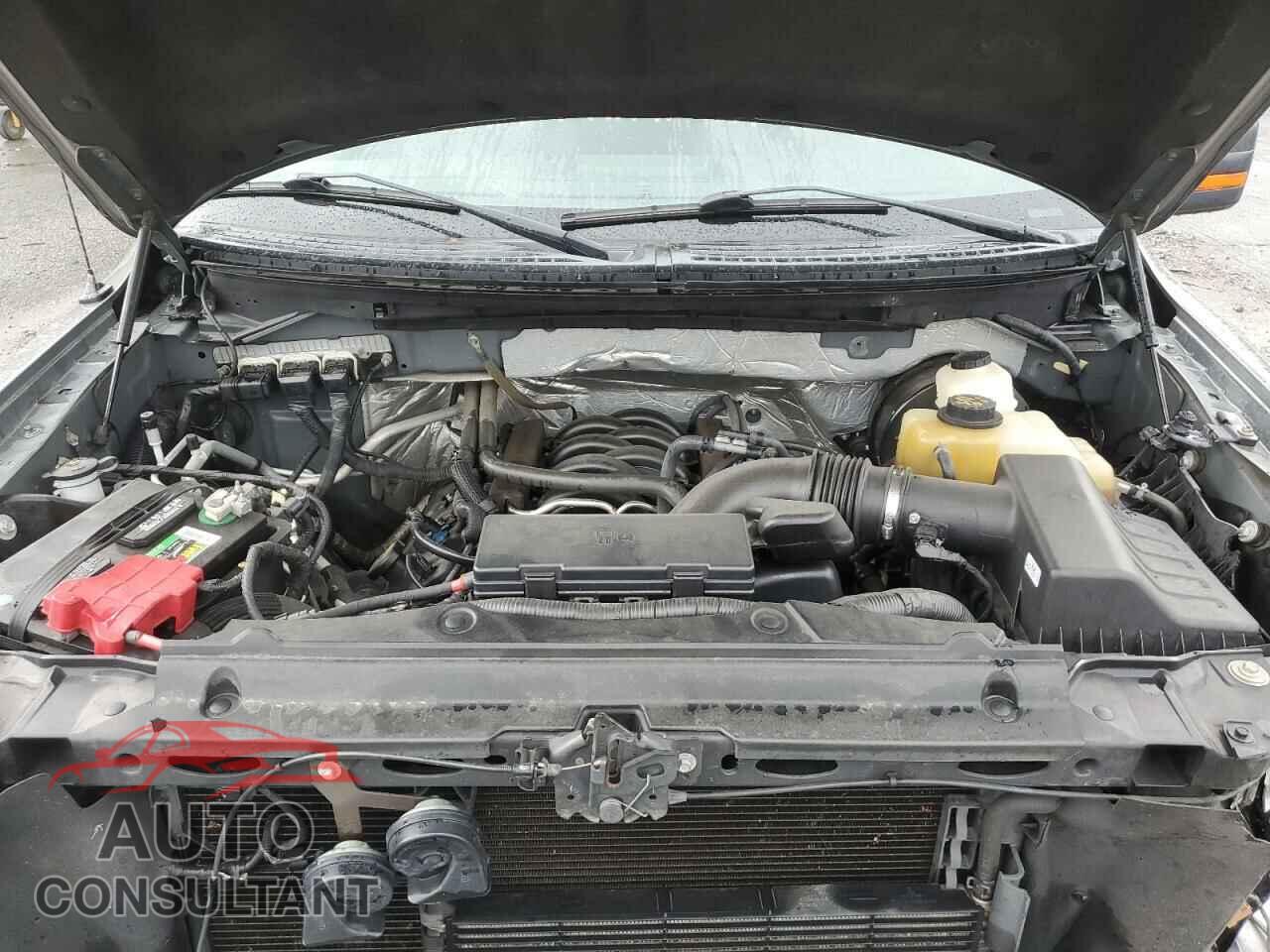 FORD F-150 2013 - 1FTFW1CF3DFD90867