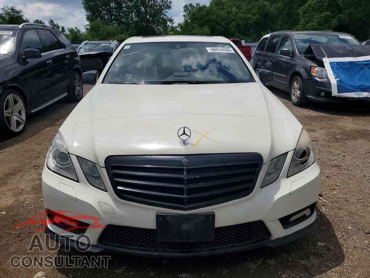 MERCEDES-BENZ E-CLASS 2010 - WDDHF8HB8AA125142