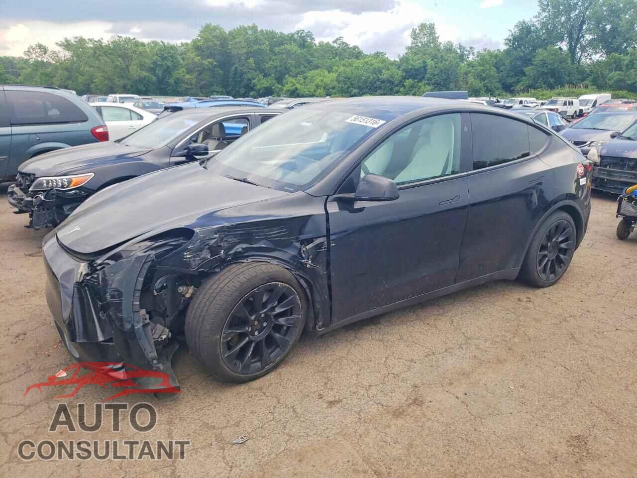 TESLA MODEL Y 2023 - 7SAYGAEE8PF834153