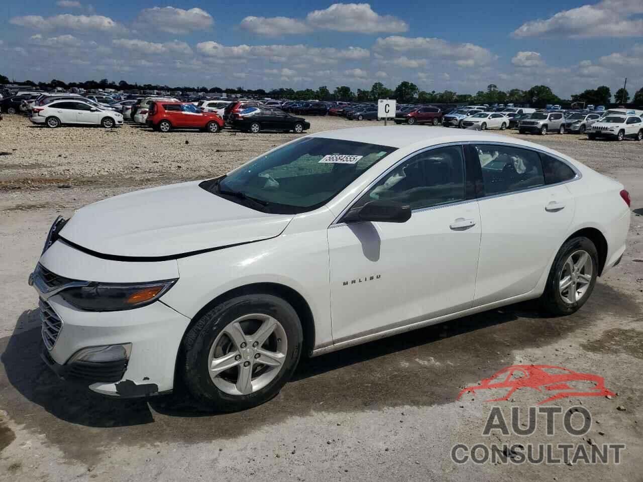 CHEVROLET MALIBU 2020 - 1G1ZC5ST6LF000968