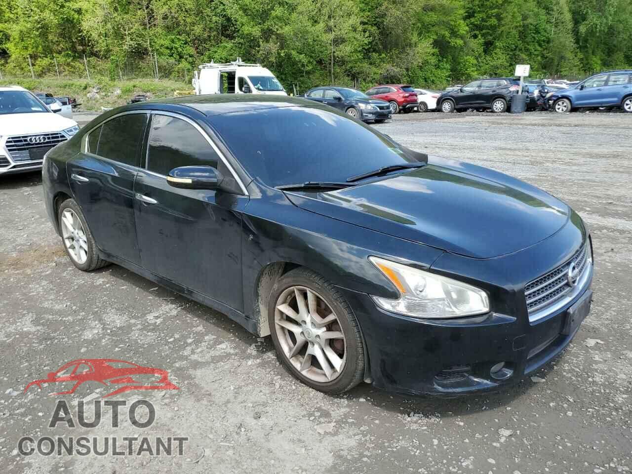 NISSAN MAXIMA 2011 - 1N4AA5AP1BC816233