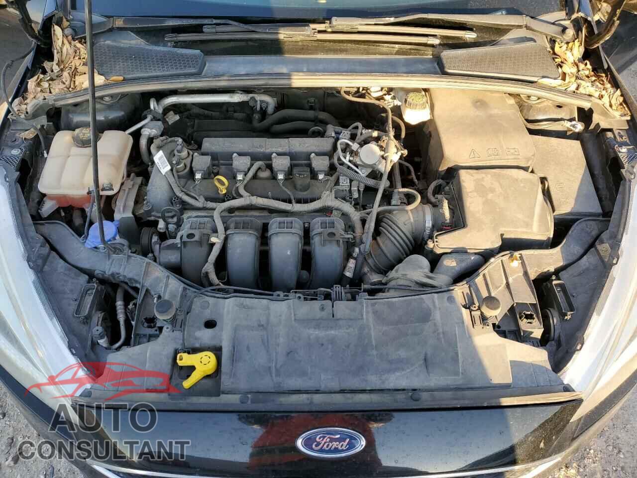 FORD FOCUS 2017 - 1FADP3F25HL219608