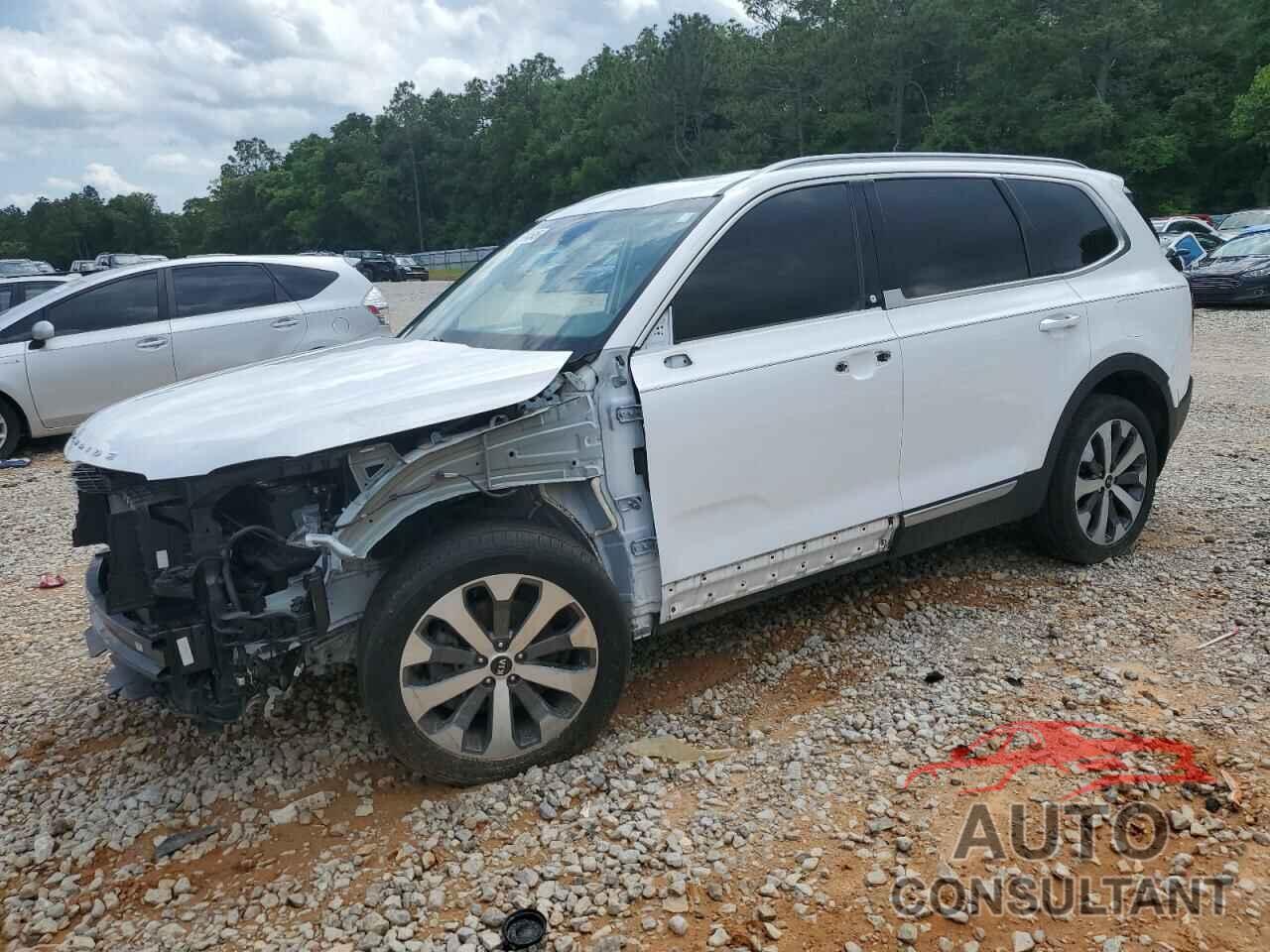 KIA TELLURIDE 2021 - 5XYP6DHC1MG156986