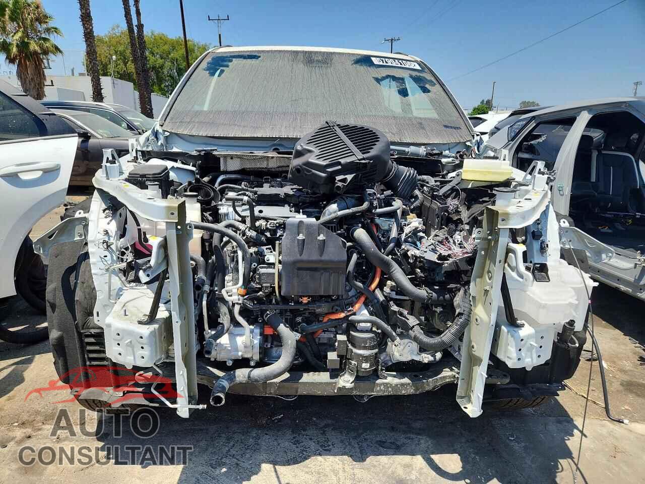 LEXUS UNKNOWN 2026 - 5TDABAB65TS019232