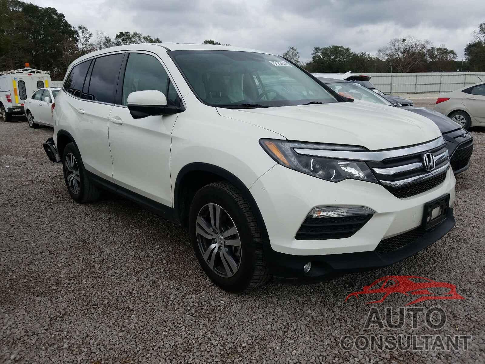 HONDA PILOT 2017 - 5FNYF5H55HB032907