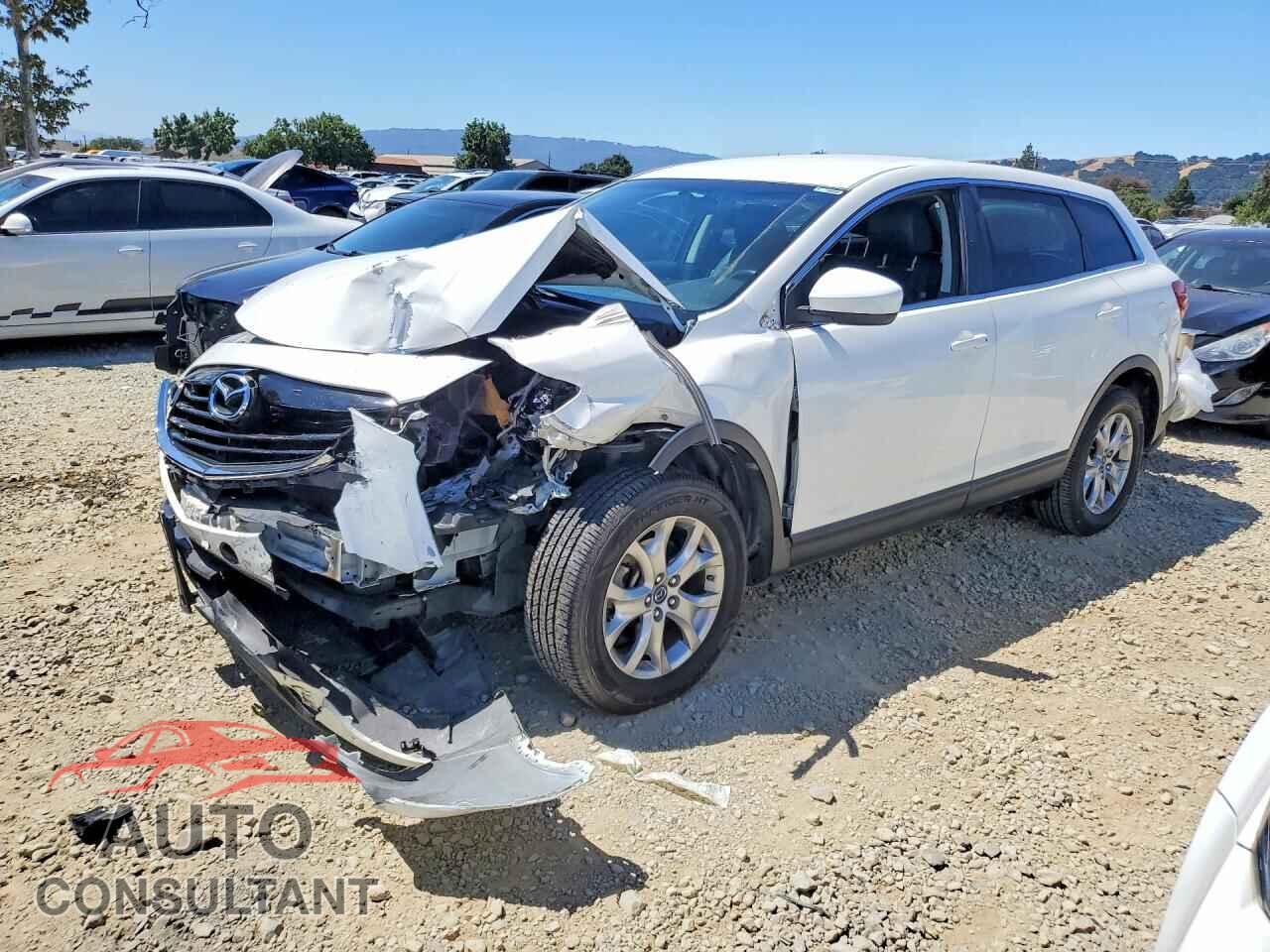 MAZDA CX-9 2014 - JM3TB2BV3E0443835