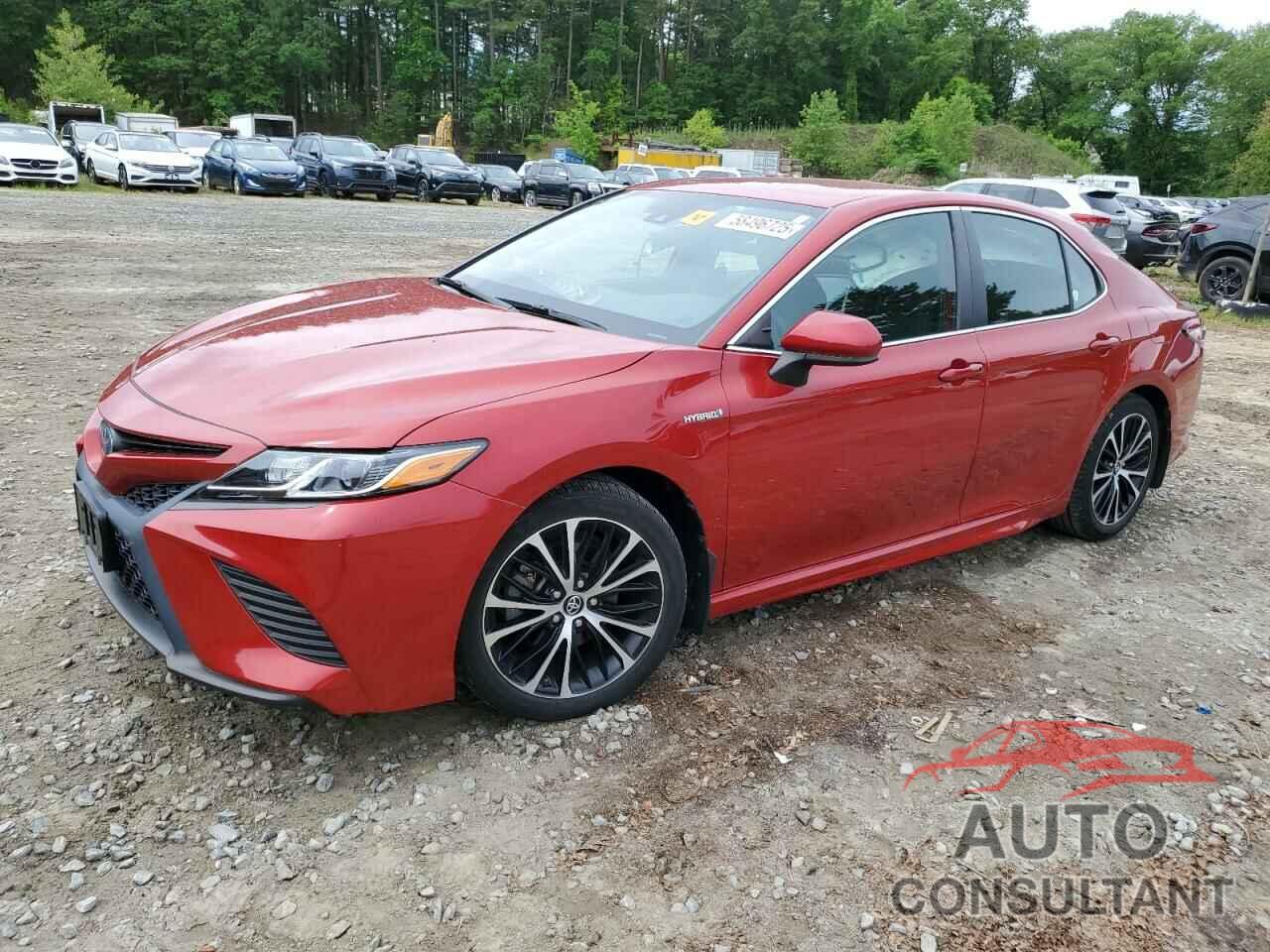 TOYOTA CAMRY 2019 - 4T1B21HK9KU011729