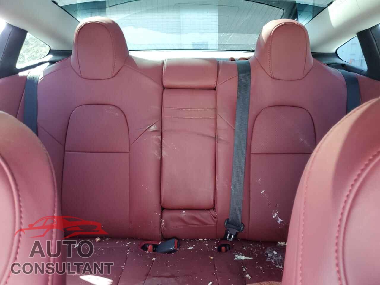 TESLA MODEL 3 2019 - 5YJ3E1EB9KF365103