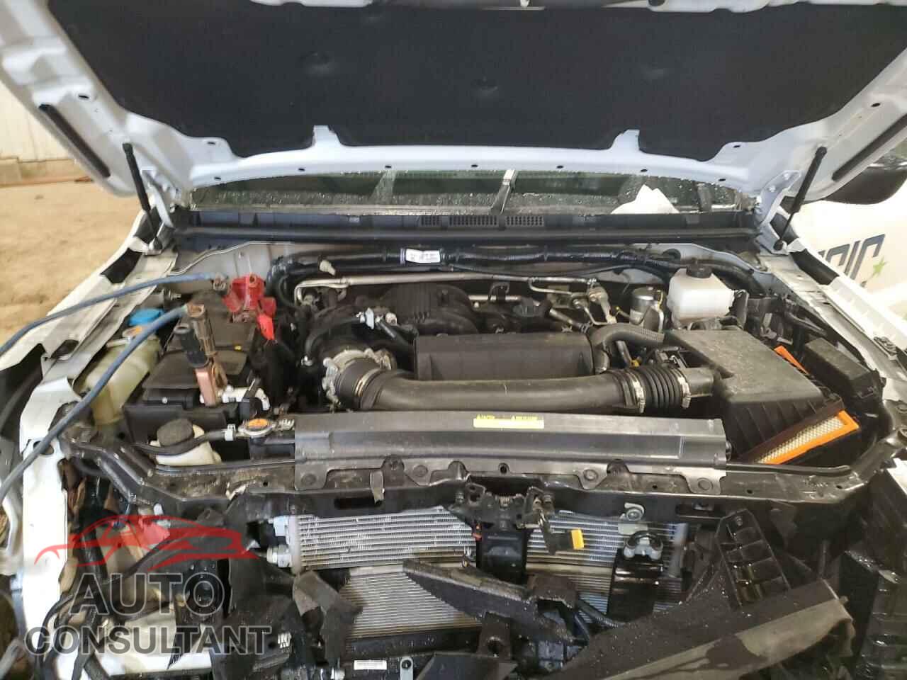 NISSAN FRONTIER 2024 - 1N6ED1CL4RN661307
