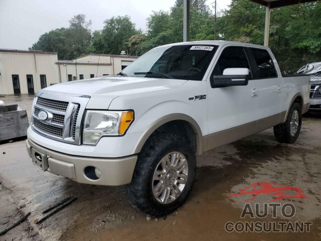 FORD F-150 2010 - 1FTFW1CV9AFD49341