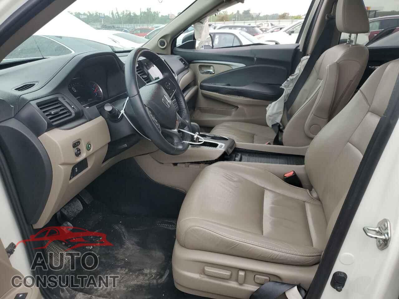 HONDA PILOT 2019 - 5FNYF6H55KB034492