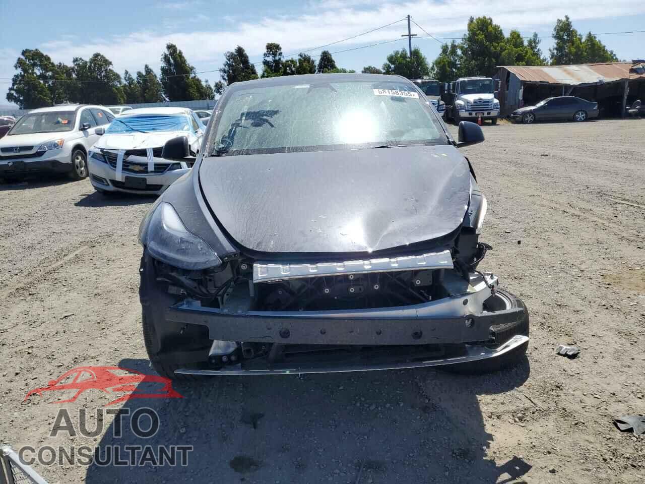 TESLA MODEL Y 2024 - 7SAYGDEE6RF032348