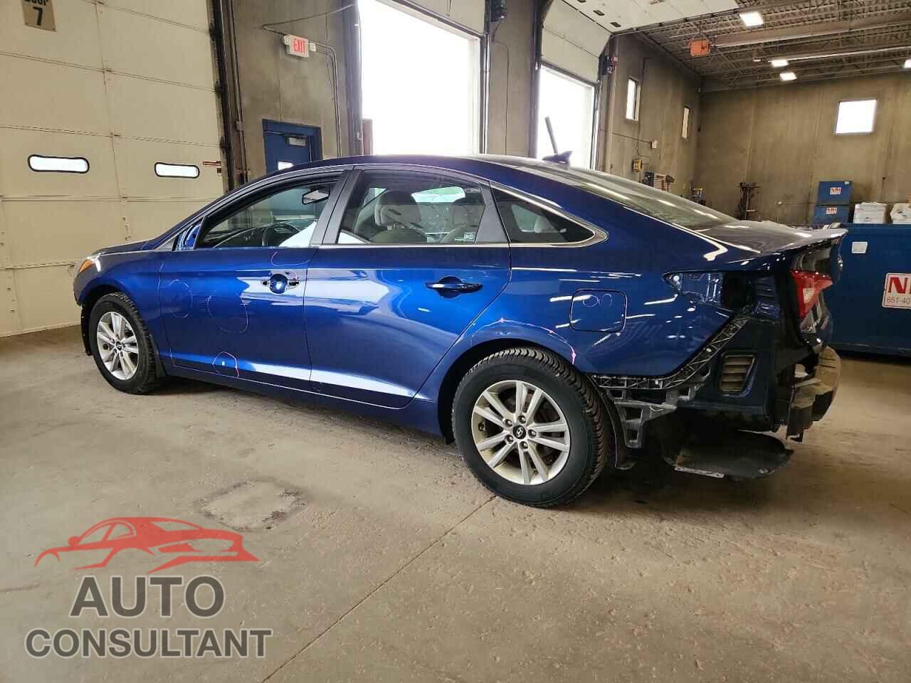 HYUNDAI SONATA 2017 - 5NPE24AF0HH555796