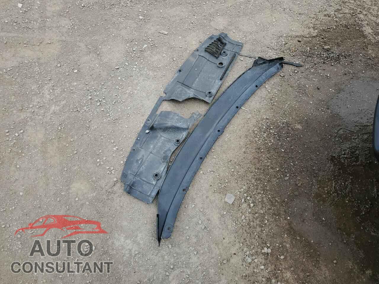HONDA CIVIC 2019 - 2HGFC3A54KH220416