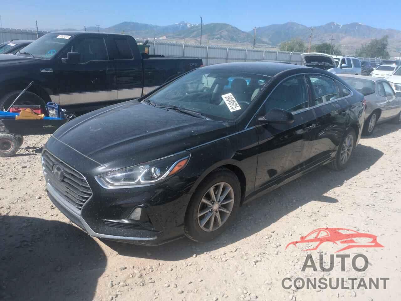 HYUNDAI SONATA 2018 - 5NPE24AF9JH662884