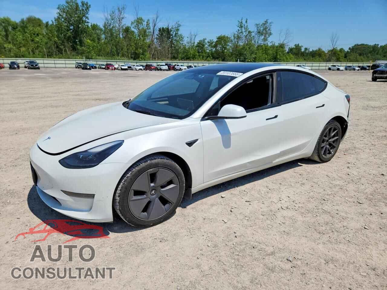 TESLA MODEL 3 2023 - 5YJ3E1EA7PF491300