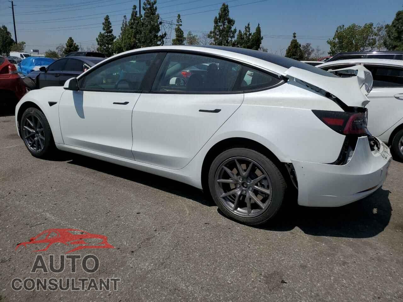 TESLA MODEL 3 2023 - 5YJ3E1EAXPF507036