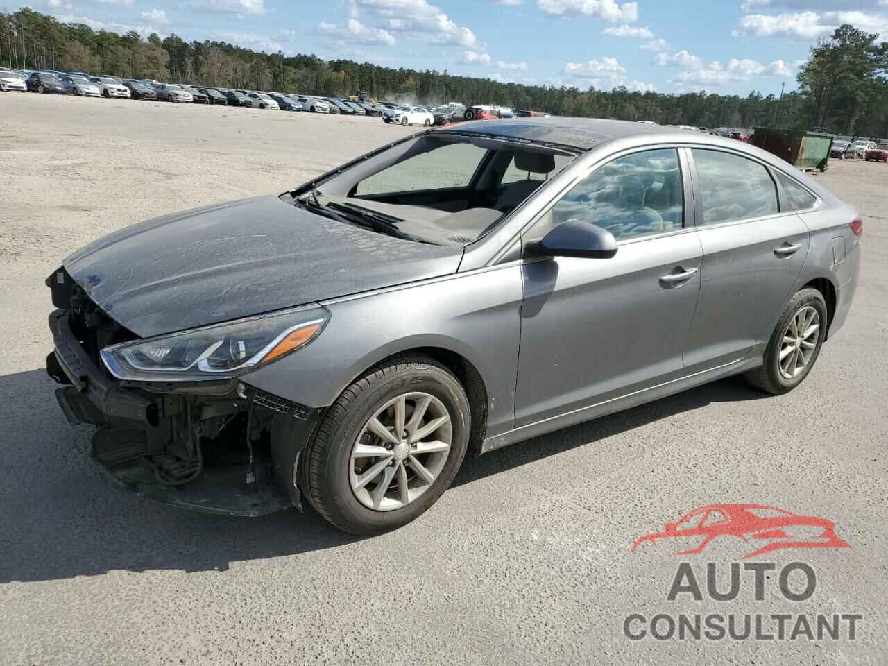 HYUNDAI SONATA 2019 - 5NPE24AF1KH736980