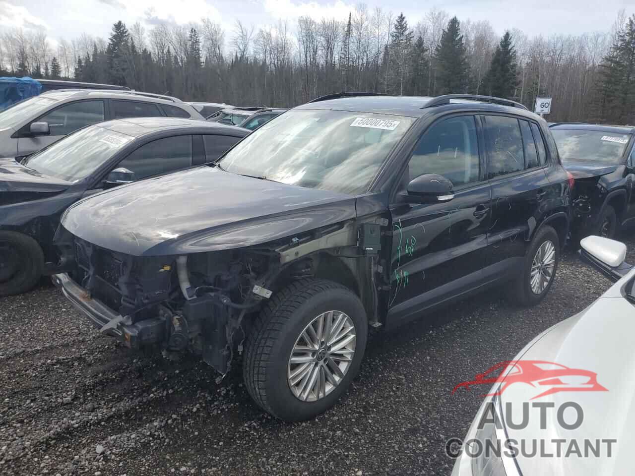 VOLKSWAGEN TIGUAN 2016 - WVGJV7AX4GW593729