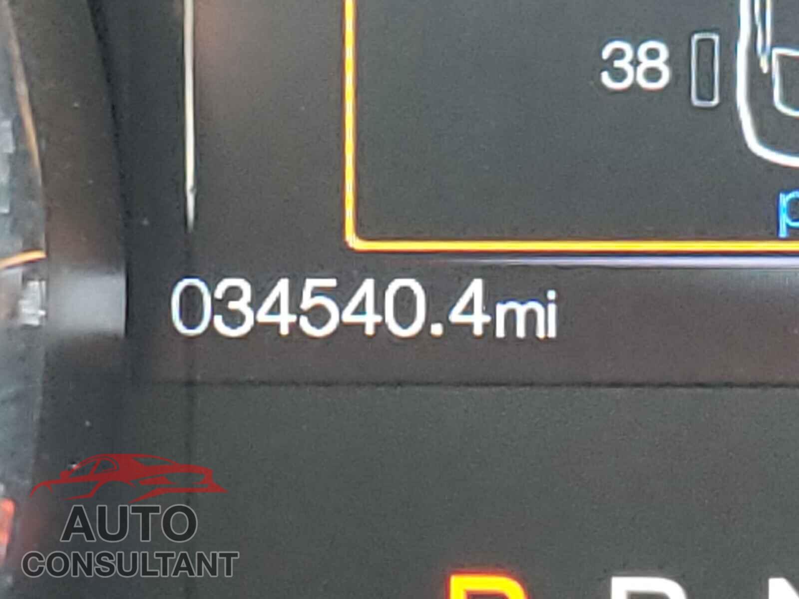 FORD MUSTANG 2019 - 1FA6P8TH1K5151687